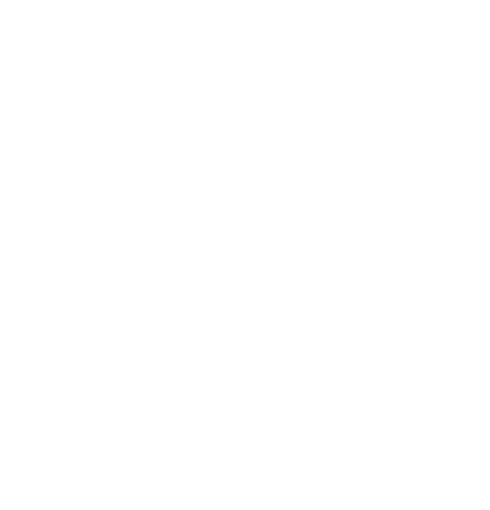 Arc Ashes Cricket