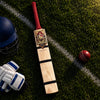 Conqueror Red Kashmir Willow Tennis Bat