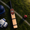 Destroyer Kashmir Willow Tennis Bat