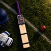 Gladiator Kashmir Willow Tennis Bat